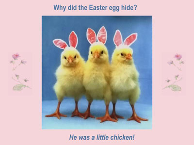 Hilarious Easter Pictures 28
